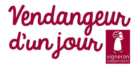 VOUS SONGEZ À ORGANISER "VENDANGEUR D'UN JOUR" ?  Ce webinaire est fait pour vous !