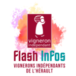 FlashInfo