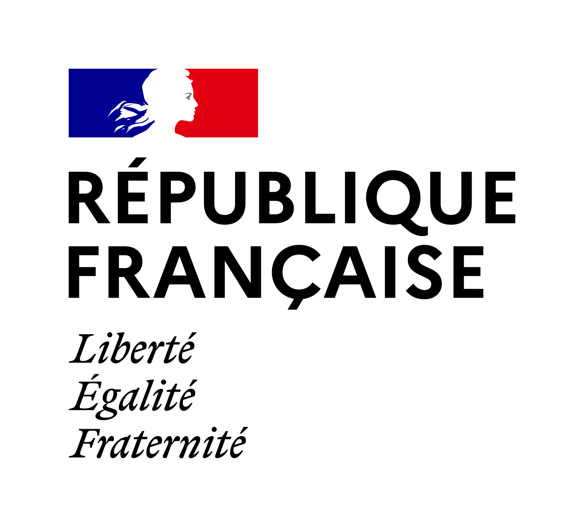 PERTES ACCIDENTELLES DE VINS Les pertes accidentelles peuvent donner lieu à décharge des droits